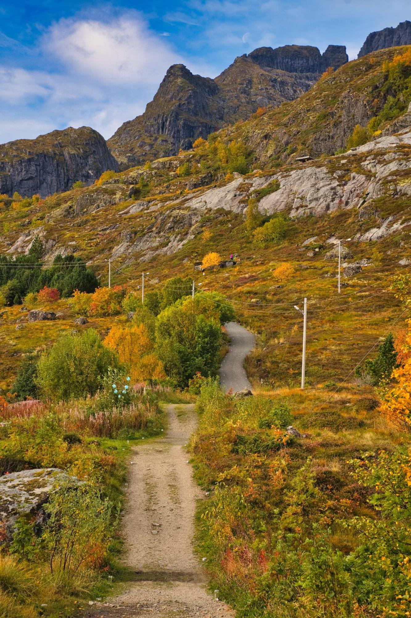 Lofoten Planet Studio Sørvågen Exteriör bild